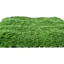Plaque de mousse SPHAIGNE artificielle vert foncé 50 cm x 50 cm - de profil