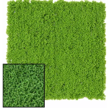 Plaque de mousse SPHAIGNE artificielle 50 cm x 50 cm