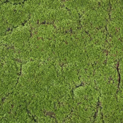 Plaque de mousse artificielle des bois 100cm x 100cm - détails