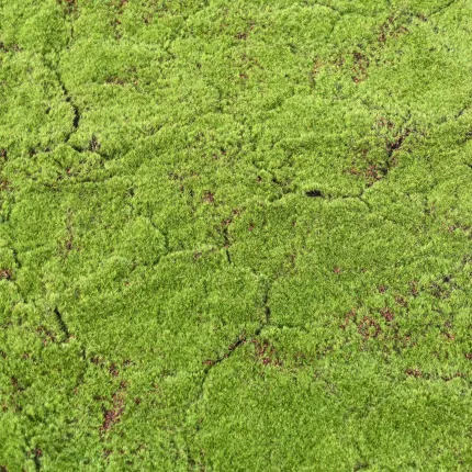 Plaque de mousse artificielle des bois 100cm x 100cm