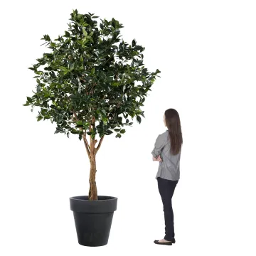 Fruitier artificiel  270 cm - comparaison taille