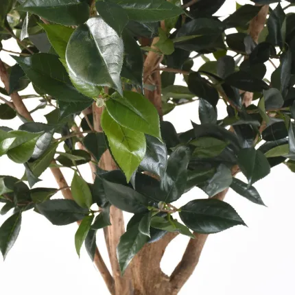 Fruitier artificiel  270 cm - feuilles