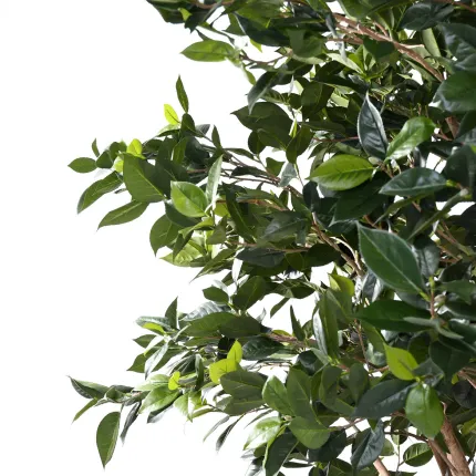 fruitier artificiel  270 cm