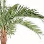 PALMIER artificiel Coconut courbe new 270 à 700 cm - feuillage