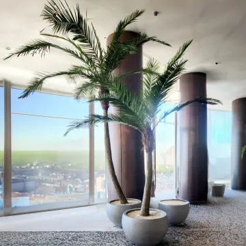 PALMIER artificiel Coconut courbe new 270 et 400 cm en situation dans un salon