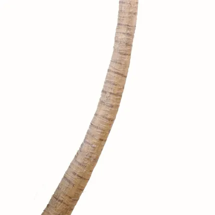 PALMIER artificiel Coconut courbe new 270 à 700 cm - tronc