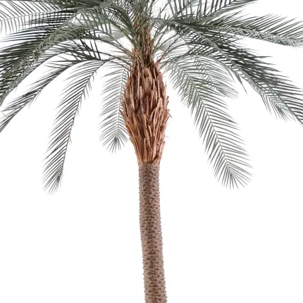 palmier PHOENIX artificiel plast tronc large  280 ou 340 cm - tronc