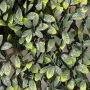 Palissade feuille artificielle  2 m x 1 m modulable - feuilles