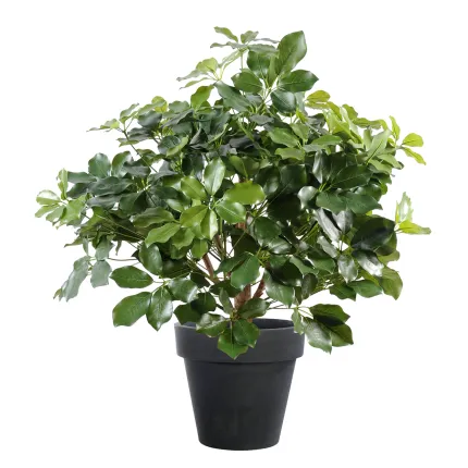 SCHEFFLERA artificiel BUISSON  90 cm
