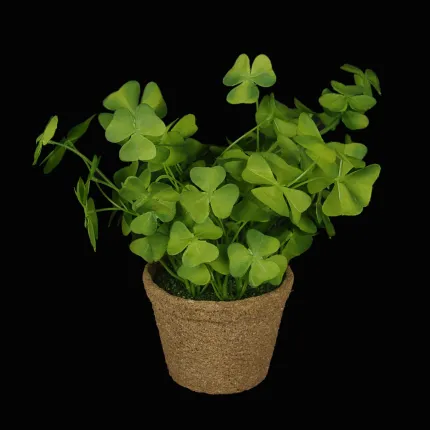 TREFFLE OXALIS vert artificiel en pot 25 cm - sur  fond noir