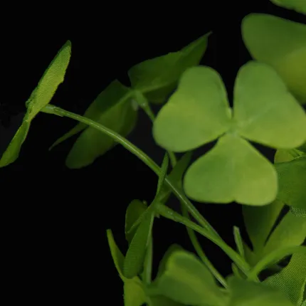 TREFFLE OXALIS vert artificiel en pot 25 cm - feuille détail