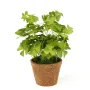 TREFFLE OXALIS vert artificiel en pot 25 cm