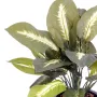 DIEFFENBACHIA artificiel 40 cm - feuilles