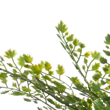 CAPILLAIRE artificiel 40 cm - feuilles détails