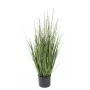 onion grass bambou 90 cm