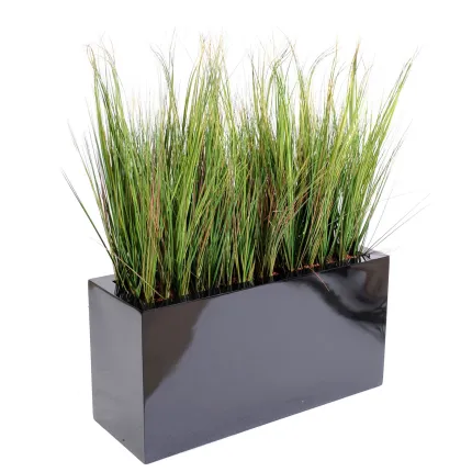onion grass bambou  en jardinière