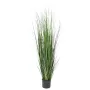 onion grass bambou 150 cm