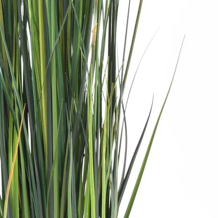 onion grass bambou 90 à 150 cm partie centrale