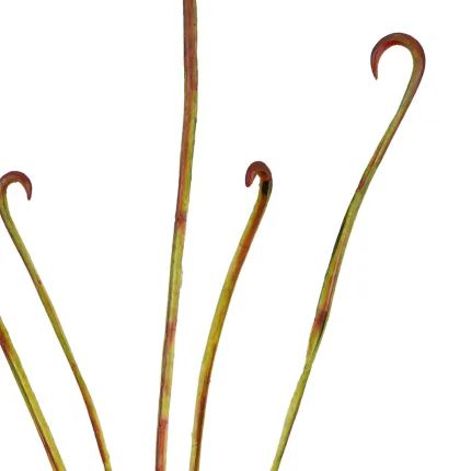 Branche artificielle carnivore 107 cm - vue centrale