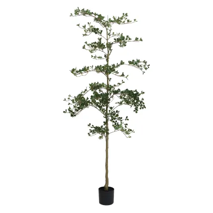 BUCIDA Buceras artificiel 210 cm