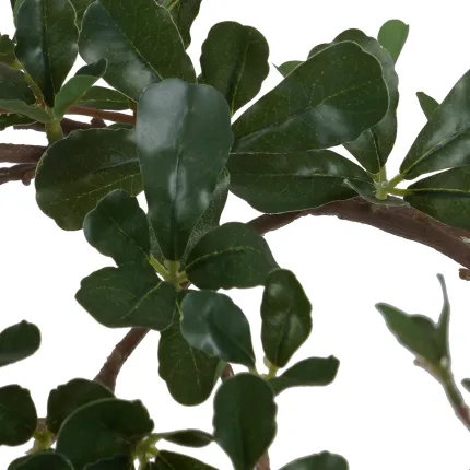 BUCIDA Buceras artificiel 210 cm - feuilles