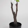 JASMIN artificiel 160 cm - tronc