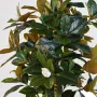 MAGNOLIA artificiel fleuri 180 cm - feuillage