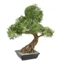 BONSAI artificiel ARALIA 95 cm