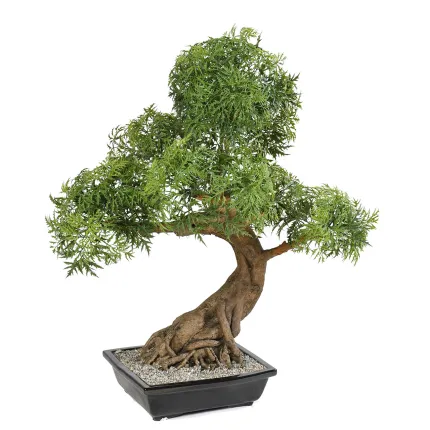 BONSAI artificiel ARALIA 95 cm