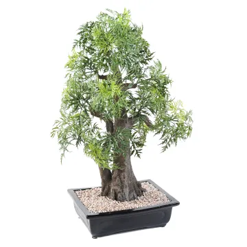 BONSAI artificiel ARALIA 80 cm