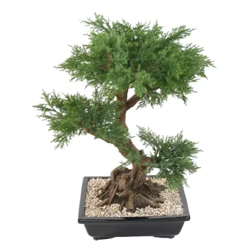 BONSAI artificiel JUNIPERUS en coupe  75 cm