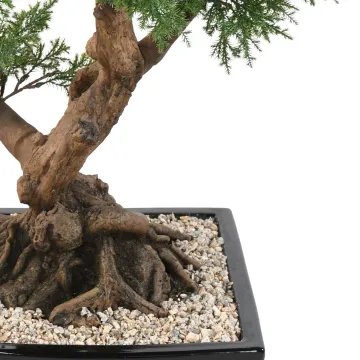 BONSAI artificiel JUNIPERUS en coupe  75 cm - tronc