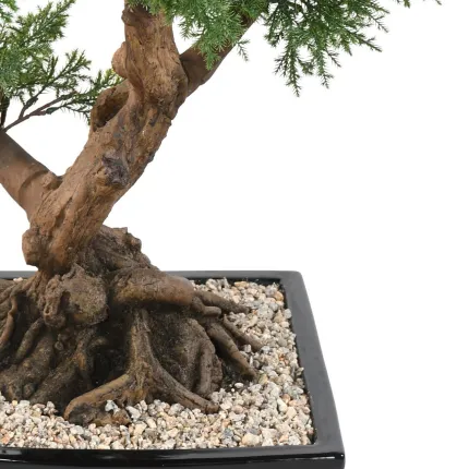 BONSAI artificiel JUNIPERUS en coupe  75 cm - tronc