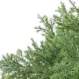 BONSAI artificiel JUNIPERUS en coupe  30 à 100 cm - feuilles