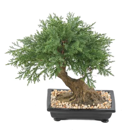 BONSAI artificiel JUNIPERUS en coupe  30 cm de dos