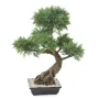 BONSAI artificiel JUNIPERUS en coupe   100 cm