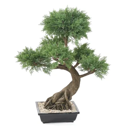 BONSAI artificiel JUNIPERUS en coupe   100 cm