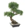 BONSAI artificiel JUNIPERUS en coupe   100 cm - de profil