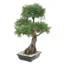 BONSAI artificiel JUNIPERUS en coupe   100 cm - de coté
