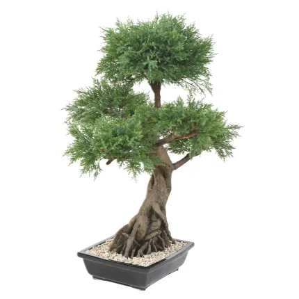 BONSAI artificiel JUNIPERUS en coupe   100 cm - de coté