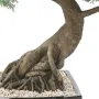 BONSAI artificiel JUNIPERUS en coupe   100 cm - tronc