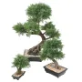BONSAI artificiel JUNIPERUS en coupe  30 à 100 cm