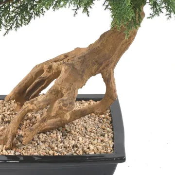 BONSAI artificiel JUNIPERUS en coupe  60 cm - tronc