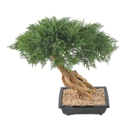BONSAI artificiel JUNIPERUS en coupe  60 cm - de dos