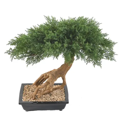 BONSAI artificiel JUNIPERUS en coupe  60 cm