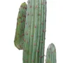 CACTUS artificiel MEXICAIN 170 cm - épines