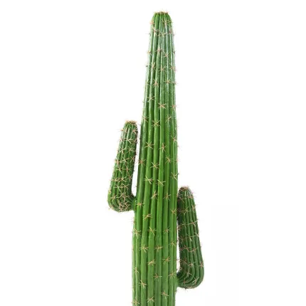 CACTUS artificiel MEXICO 140 cm - vu rapprochée