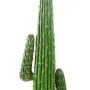 CACTUS artificiel MEXICO 140 cm - épines