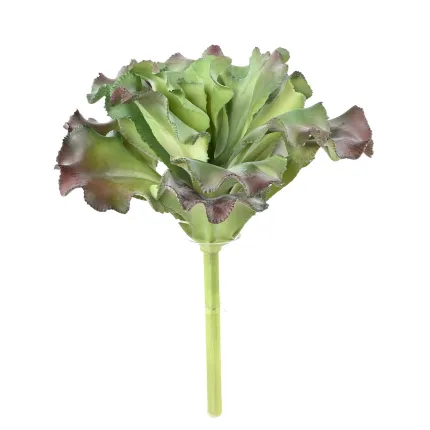 SUCCULENTE artificielle diam 17 cm en tige