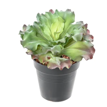 SUCCULENTE artificielle diam 17 cm en pot
